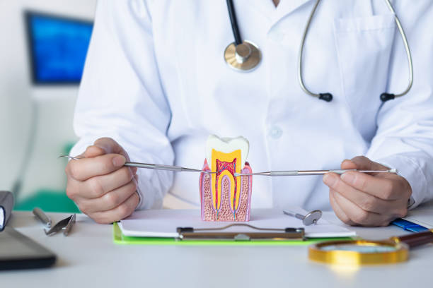 Best Weekend Emergency Dentist in Owenton, KY